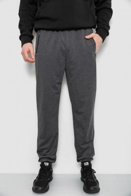 Спортивні штани чоловічі, колір сірий, 244R434