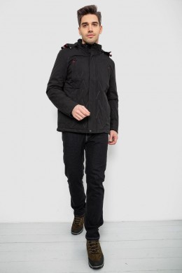 Куртка мужская демисезонная с капюшоном, цвет черный, 244RL9159AL