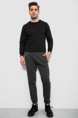 Спортивные штаны мужские на флисе, цвет серый, 244R41558