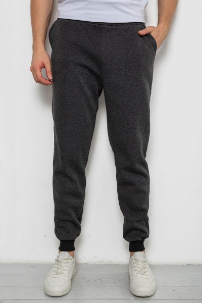 Спортивные штаны мужские на флисе, цвет темно-серый, 238R56910-5