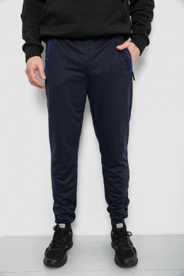 Спортивні штани чоловічі, колір синій, 244R429