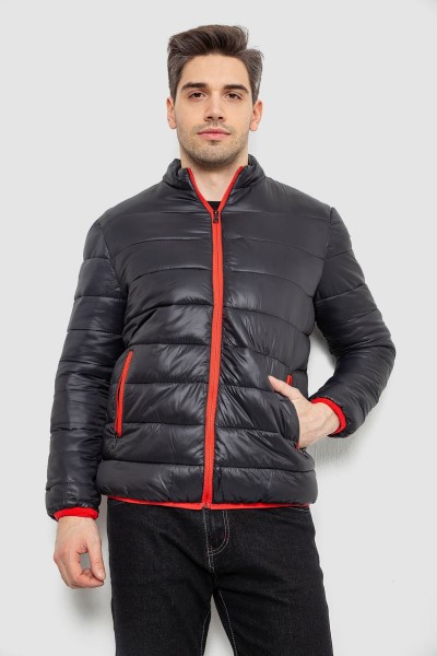 Куртка мужская демисезонная 244RL616, цвет Черный