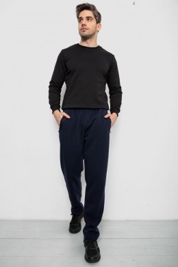 Спорт чоловічі штани на флісі, колір синій, 244R41223