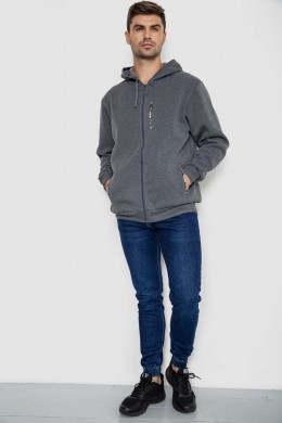 Кофта мужская на флисе с капюшоном 244R2563, цвет Серый