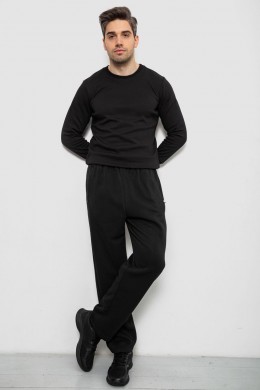 Спортивные штаны мужские на флисе, цвет черный, 244R41715