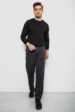 Спортивные штаны мужские на флисе, цвет темно-серый, 244R41753