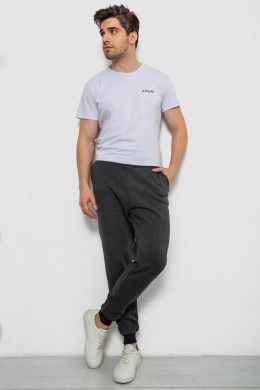 Спортивные штаны мужские на флисе, цвет темно-серый, 238R56910-5