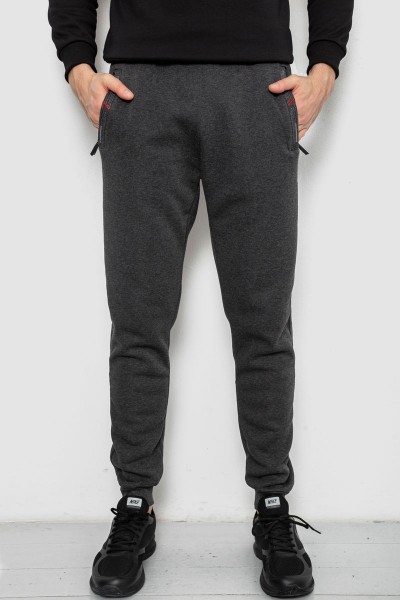 Спортивные штаны мужские на флисе, цвет серый, 244R41558