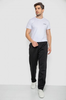 Спортивные штаны мужские на флисе, цвет черный, 244R0025