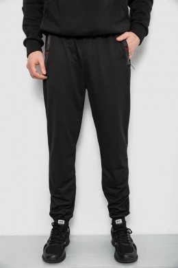 Спортивные штаны мужские, цвет черный, 244R429
