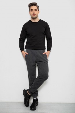 Спортивные штаны мужские на флисе, цвет серый, 244R6120