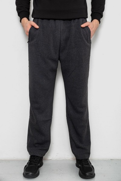 Спортивные штаны мужские на флисе, цвет серый, 244R41715