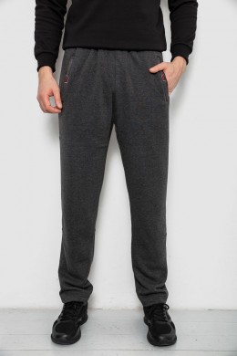 Спортивные штаны мужские на флисе, цвет серый, 244R41597