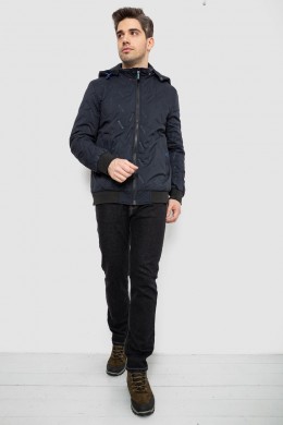 Куртка мужская демисезонная с капюшоном, цвет синий, 244RL-9882AL