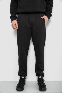 Спортивные штаны мужские, цвет черный, 244R434