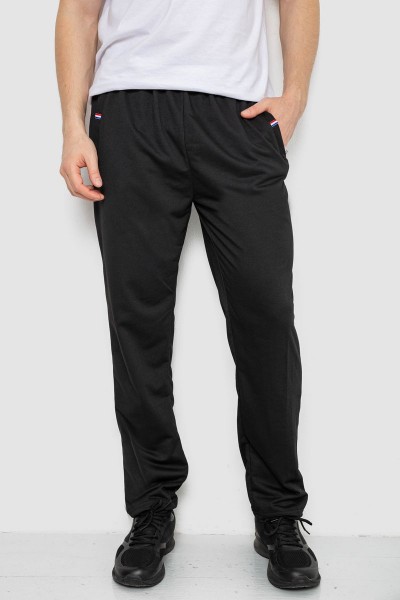 Спортивные штаны мужские, цвет черный, 244R41745