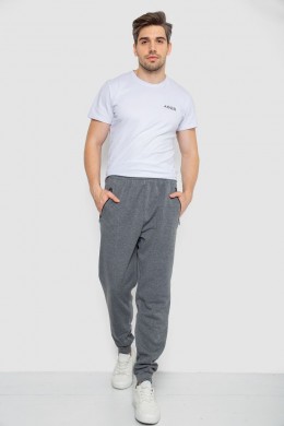 Спорт штаны мужские на флисе, цвет серый, 244R41508