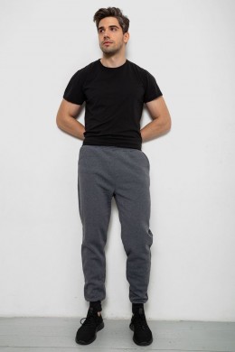 Спортивные штаны мужские на флисе, цвет серый, 238R56910-5