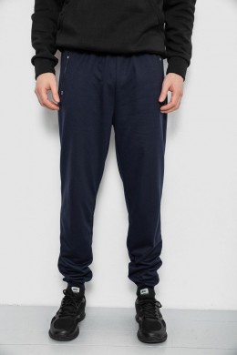 Спортивні штани чоловічі, колір синій, 244R434