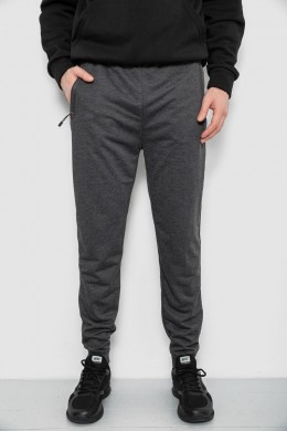 Спортивні штани чоловічі, колір сірий, 244R435