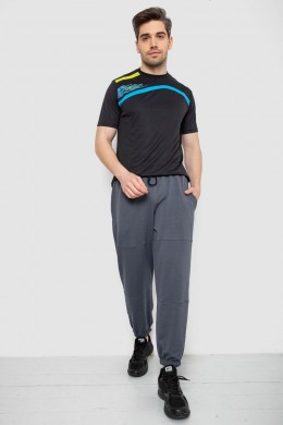 Спортивные мужские штаны демисезонные, цвет серый, 241R001-1