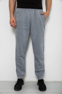 Спортивные штаны мужские на флисе, цвет серый, 238R58641
