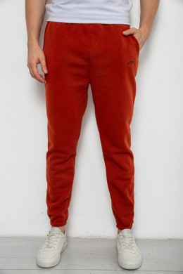 Спортивные штаны мужские на флисе, цвет терракотовый, 238R57256-1