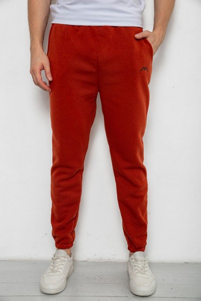 Спортивные штаны мужские на флисе, цвет терракотовый, 238R57256-1