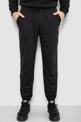Спортивные штаны мужские двухнитка, цвет черный, 241R8003