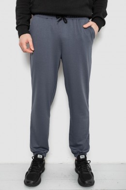 Спортивные штаны мужские двухнитка, цвет серый, 241R8003