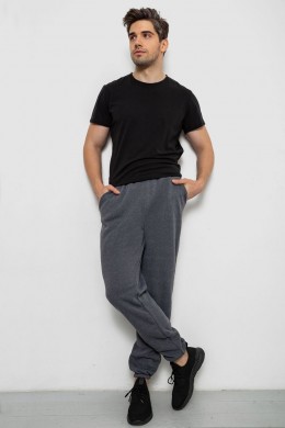 Спортивные штаны мужские на флисе, цвет серый, 238R58629