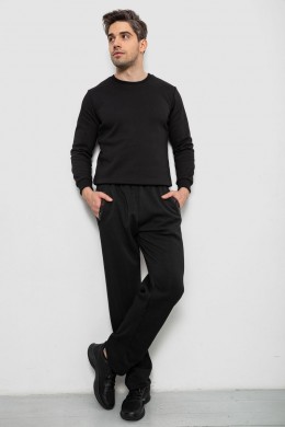 Спортивные штаны мужские на флисе, цвет черный, 244R41753