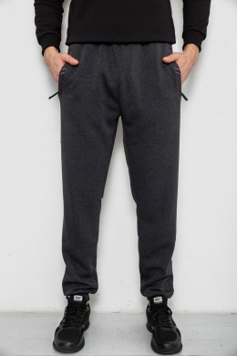 Спортивные штаны мужские на флисе, цвет серый, 244R41748