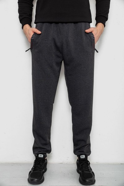 Спортивные штаны мужские на флисе, цвет серый, 244R41748