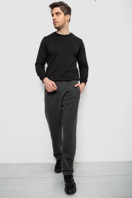 Спортивные штаны мужские на флисе, цвет серый, 244R41597