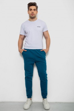 Спортивные штаны мужские на флисе, цвет изумрудный, 238R57256