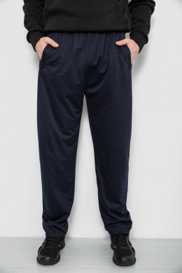 Спортивні штани чоловічі, колір синій, 244R41399