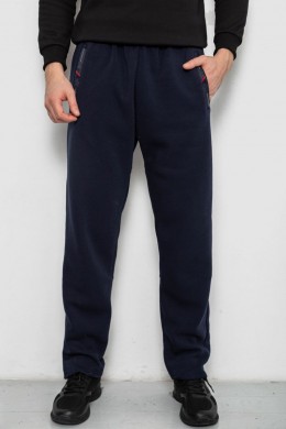 Спортивные штаны мужские на флисе, цвет синий, 244R41753