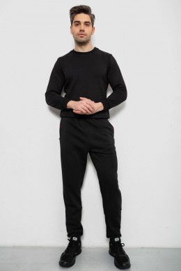 Спортивные штаны на флисе, цвет черный, 244R41526