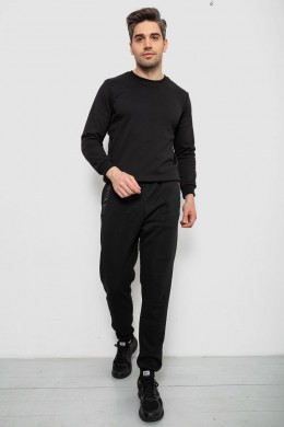 Спортивные штаны мужские на флисе, цвет черный, 244R41553