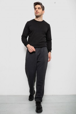 Спортивные штаны мужские на флисе, цвет серый, 244R41715