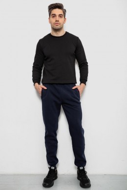 Спортивные штаны на флисе, цвет синий, 244R41526