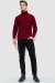 Гольф-свитер мужской, цвет бордовый, 161R619