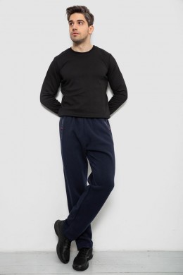 Спортивные штаны мужские на флисе, цвет синий, 244R41753