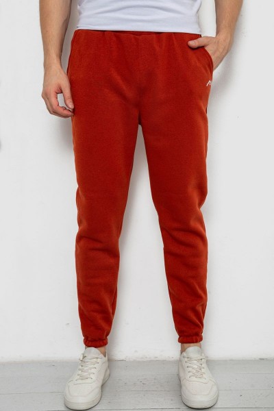 Спортивные штаны мужские на флисе, цвет терракотовый, 238R57256