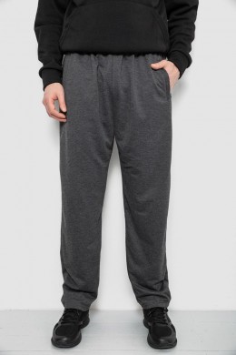 Спортивные штаны мужские, цвет серый, 244R41399