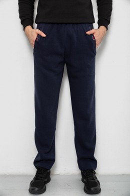 Спортивные штаны мужские на флисе, цвет синий, 244R41597
