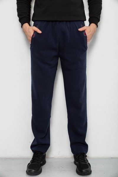 Спортивные штаны мужские на флисе, цвет синий, 244R41597