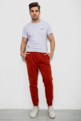 Спортивные штаны мужские на флисе, цвет терракотовый, 238R57256