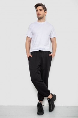 Спортивные мужские штаны демисезонные, цвет черный, 241R001-1